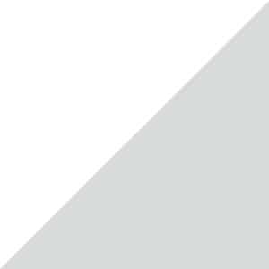 Weiss (matt) – Silber